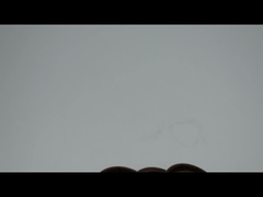 DCY DC AW3055 Anel de vedação de óleo NBR Borracha metálica FKM Double Spring Oil Seal Alta pressão