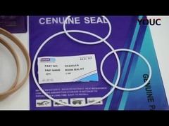 Kit de Vedação da Lança DX225LCA Doosan para Reparo do Cilindro Hidráulico da Escavadeira