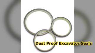 Escavadeira Dust Seal DLI protege seu equipamento
