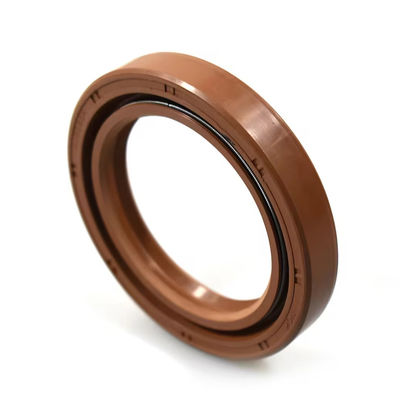 DCY DC AW3055 Anel de vedação de óleo NBR Borracha metálica FKM Double Spring Oil Seal Alta pressão